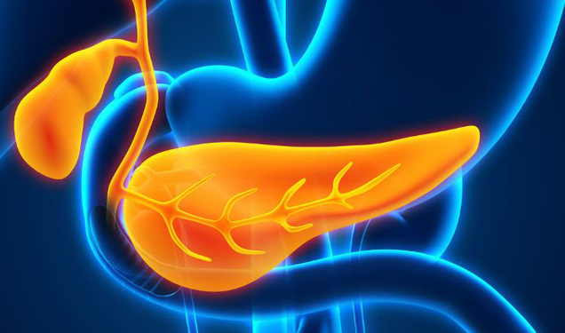 Drinker’s nightmare: the curious case of the pancreas, an organ capable of destroying itself