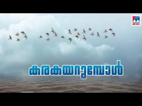 പ്രളയകാലത്ത് രോഗം വരാതെ സൂക്ഷിക്കാന്‍; വന്നാല്‍ എന്തൊക്കെ കാര്യങ്ങള്‍ ശ്രദ്ധിക്കണം?