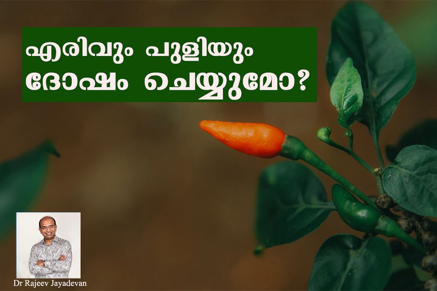 എരിവും പുളിയും ദോഷം ചെയ്യുമോ?