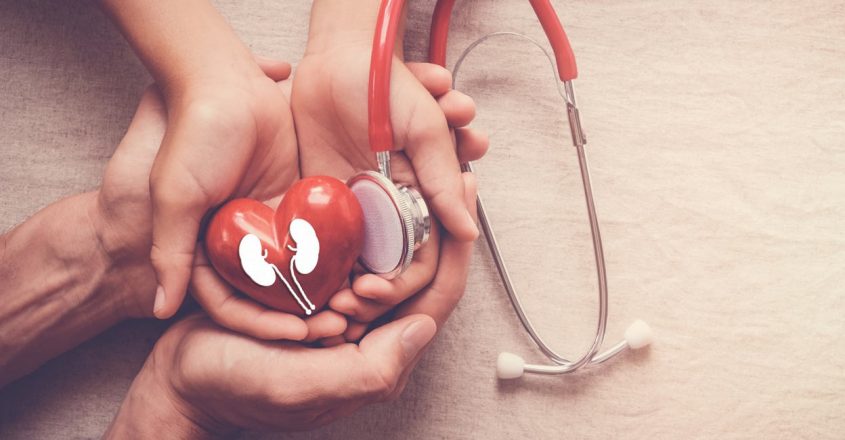 Organ Donation made simple: A user-friendly guide